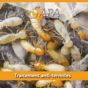 Traitement termites Fleurance Gers 32