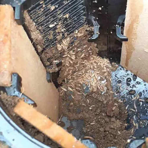 Pièges termites connectés - SAPA Traitement termites à Niort