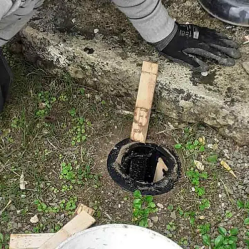 Traitement Termites par pièges à Niort, Bressuire, Parthenay, Thouars, Melle... Deux-Sèvres 79