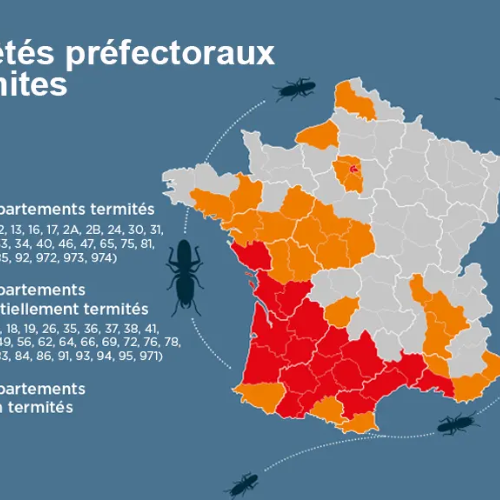 Arrêté Préfectoral délimitant les zones contaminées par les termites en Charente-Maritime