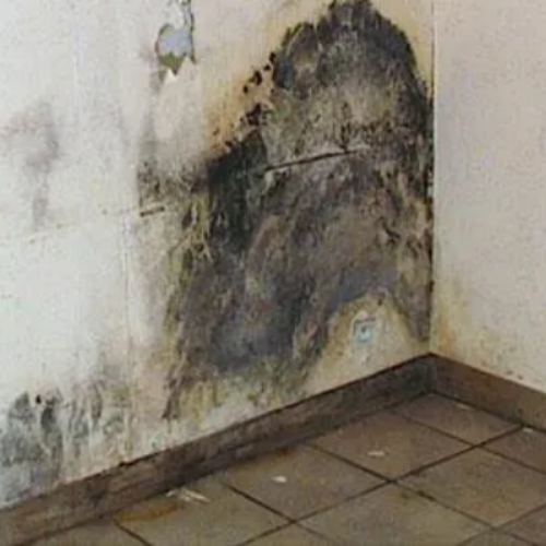 traitement Humidité et remontées capillaires Charente-Maritime