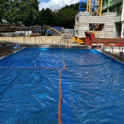 traitement termites Charente-Maritime