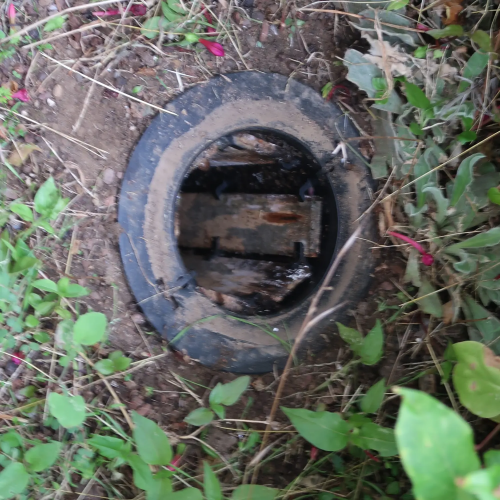 traitement termites par pièges exterieurs