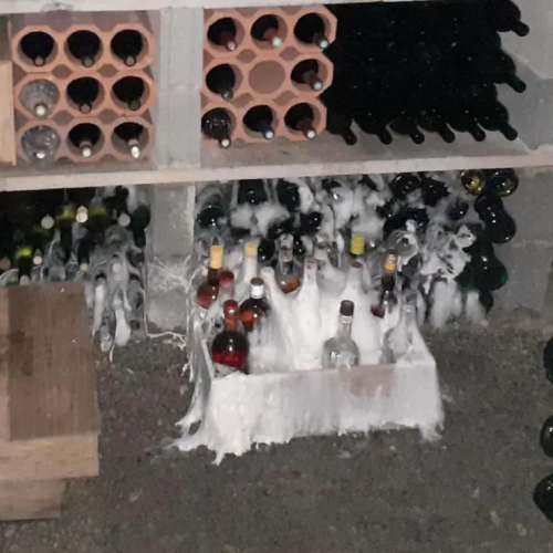 Traitement Mérule sur le département des Deux-Sèvres