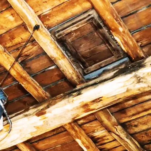 Préserver sa charpente contre les champignons lignivores