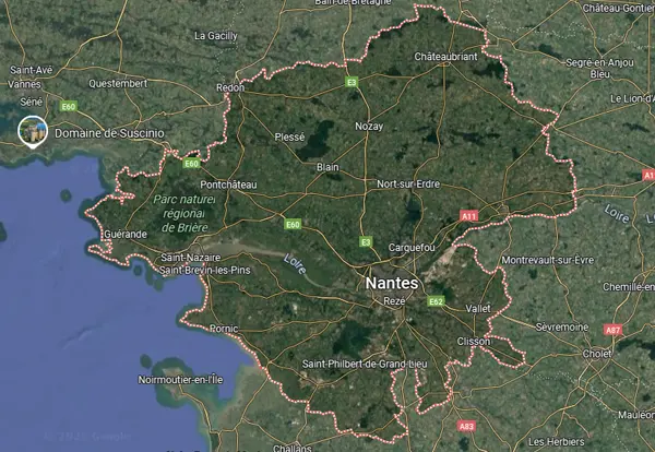 SAPA 44 traitement bois charpente termites à Nantes, Saint-Nazaire, Saint-Herblain… Loire-Atlantique