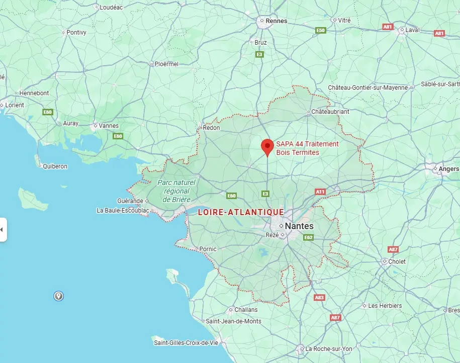 SAPA 44 traitement bois charpente termites à Nantes, Saint-Nazaire, Saint-Herblain… Loire-Atlantique