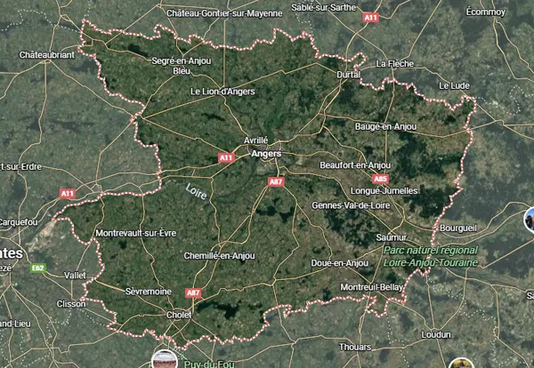 SAPA 49 traitement bois charpente termites Angers Maine-et-Loire