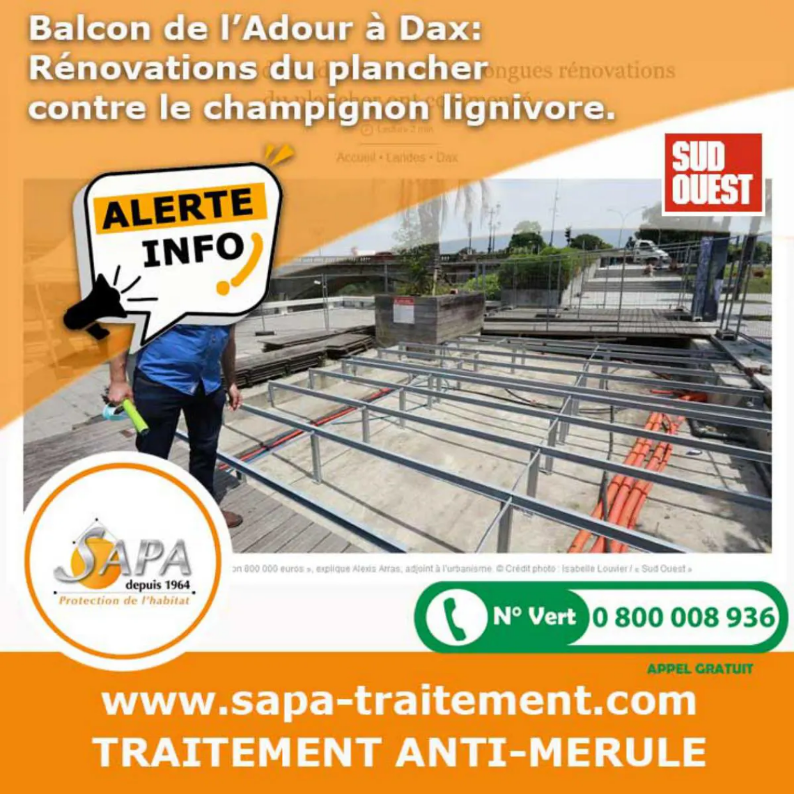 traitement contre les champignons lignivores sur le département de sLandes à DAX