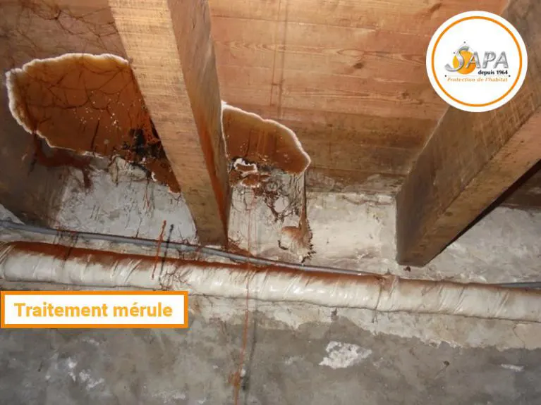 Traitement mérule dans la commune de Saucats (33), chantier opéré par la Sapa.