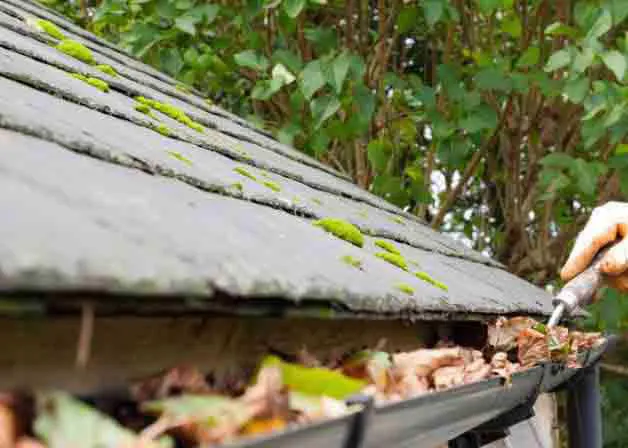 Nettoyage de la toiture, traitement hydrofuge et Algimouss - Francis  Couverture