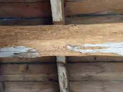 charpente capricornes Angoulême charente 16