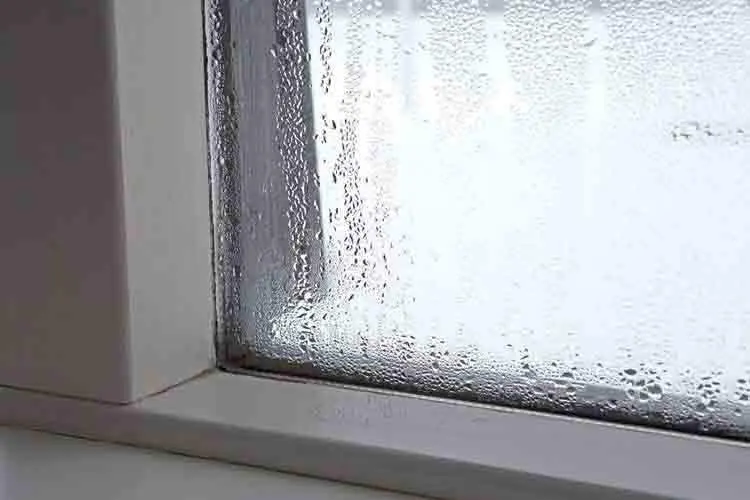 murs humides condensation