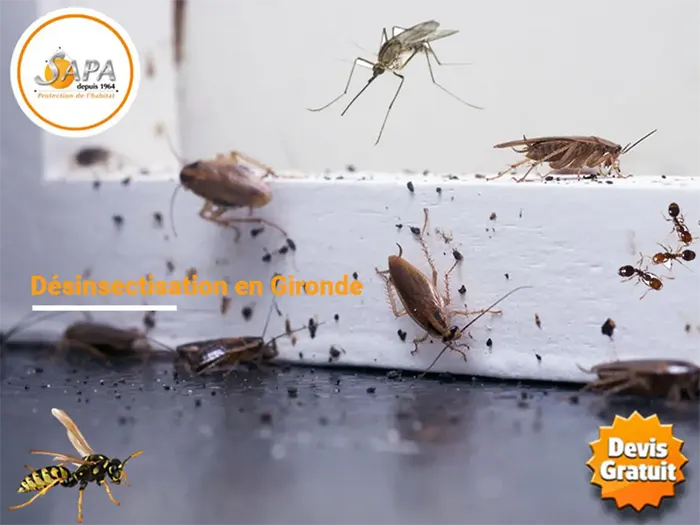 Désinsectisation dans le département de la Gironde (Cafards, blattes, moustiques, fourmis, guêpes, frelons).