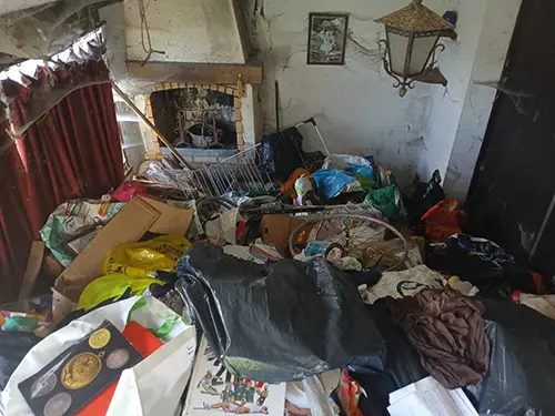 diogene-desinfection habitation - traitement sapa