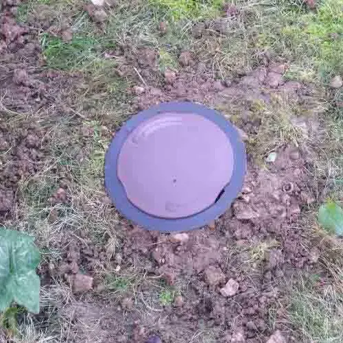 En Charente (16), SAPA s'occupe du capricorne ou xylophage