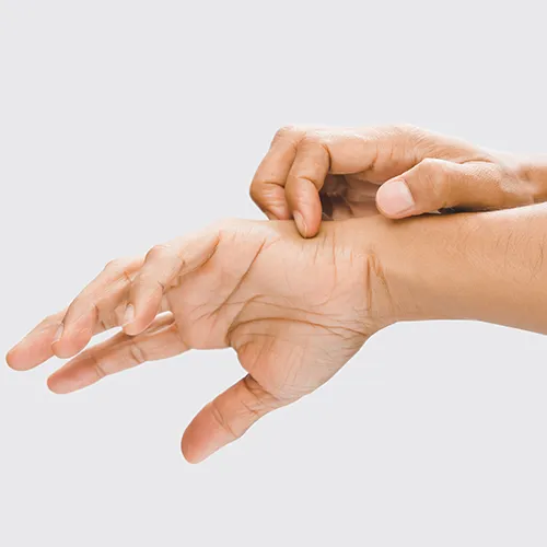 SAPA TRAITEMENT moustiques Orvault Pornic Pornichet