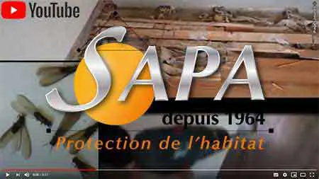 SAPA 79 Niort, Thouars, Parthenay, Melle... Sur les Deux-Sèvres (79) Traitement bois charpente