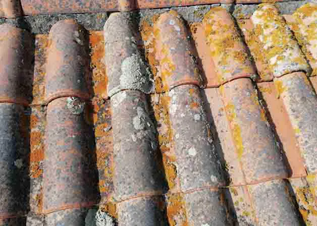 Démoussage des toitures contre les lichens