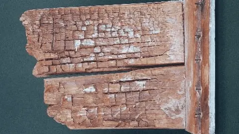 champignons-lignivores-aspects-dégradation-bois-cassant