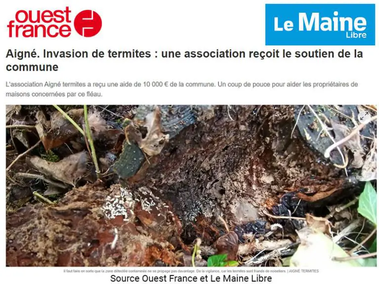 Sapa Termites Nantes: traitement termites curatif à Aigné dans la Sarthe Ouest France