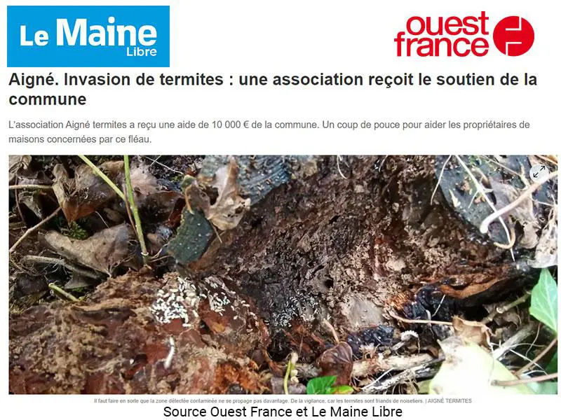 Sapa Termites Angers: La Sapa mentionné dans un article d’Ouest France au sujet des termites.