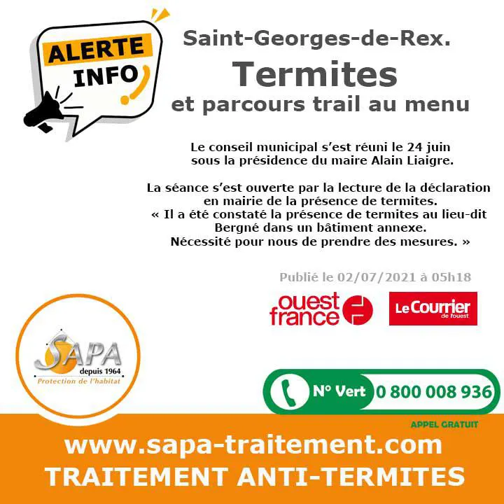 Termites saint-georges de rex deux-sèvres