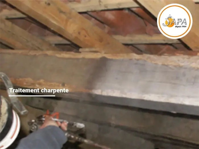 Traitement charpente contre capricornes, termites, insectes, traitement réalisé par la Sapa, société experte du traitement du bois et du bois de charpente.