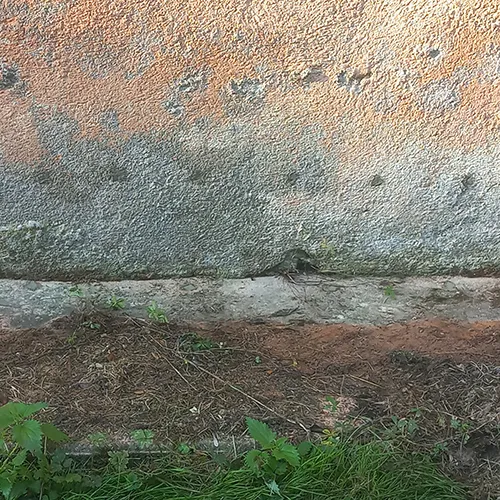 traitement termites LE MANS SARTHE