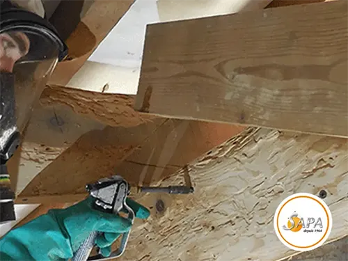 Utilisation de produits de préservation